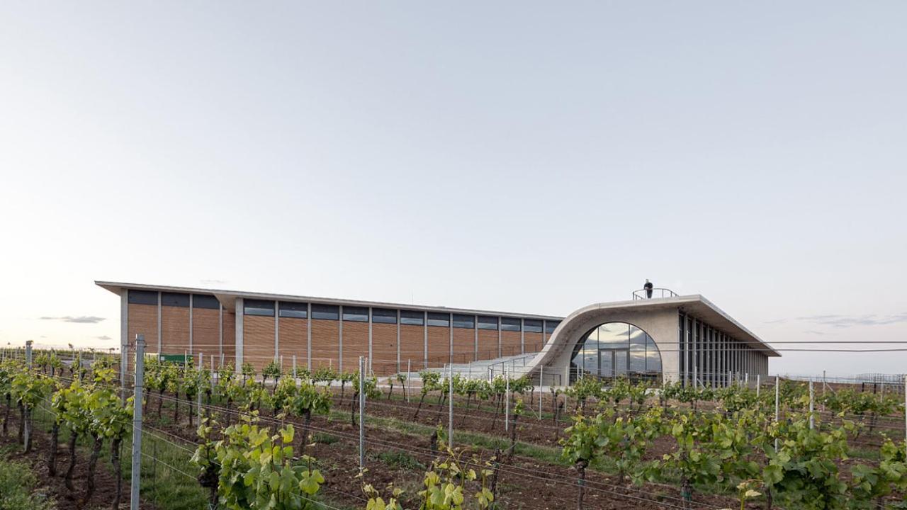 Wine House Znojmo Villa Dış mekan fotoğraf
